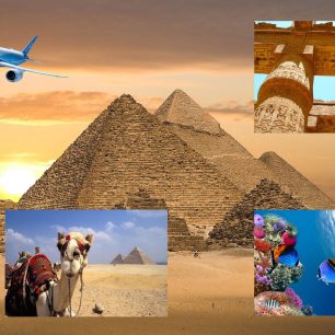 Travel Packages